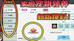 迷你最新版本爆料,全新功能与升级亮点抢先看